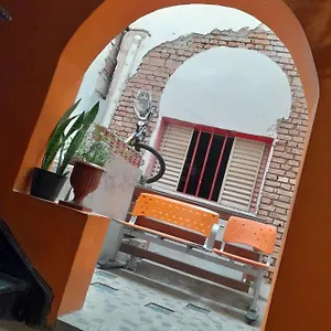  Auberge de jeunesse Wanderlust G Brésil